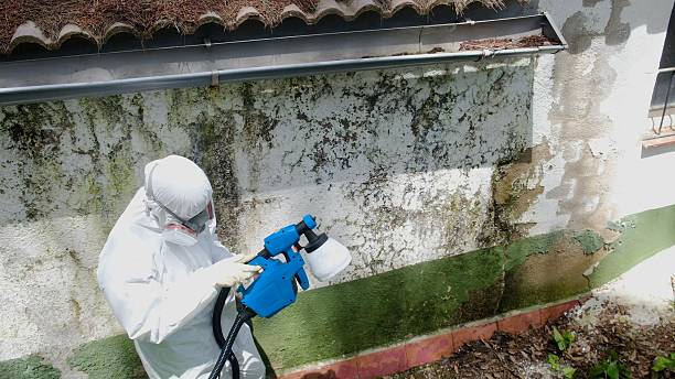 Mold Remediation service in Damascus, Damascus, OR